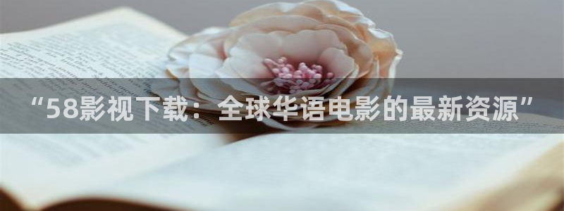 南瓜湖北：“58影视下载：全球华语电影的最新资源”