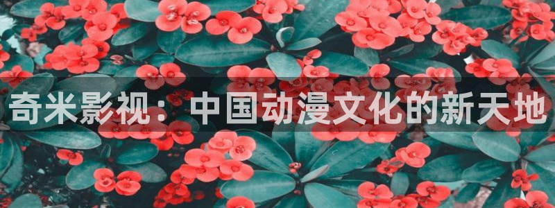 南瓜影音