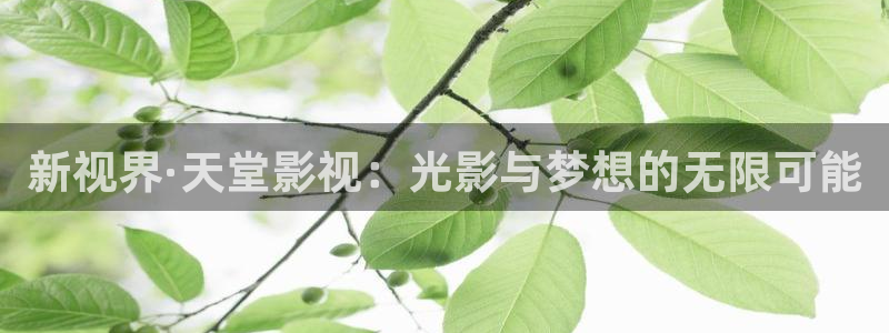 南瓜色眼影
