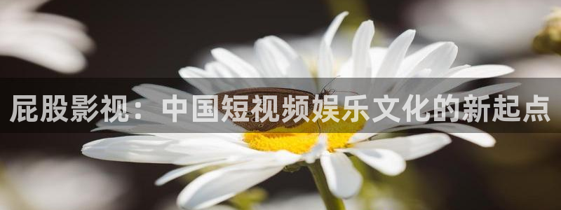 南瓜视频