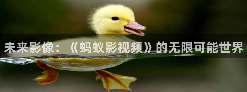 沈阳南瓜