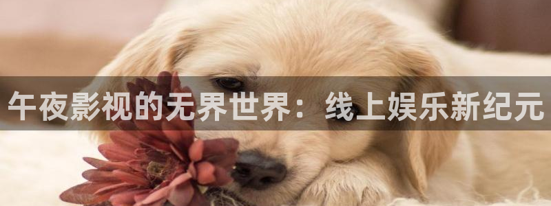 南瓜在线观看免费全集