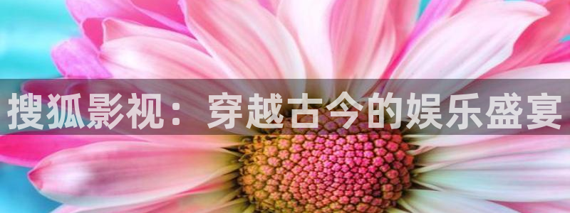 宁夏南瓜