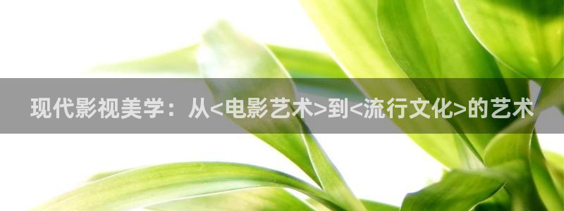 南瓜影视大全高清免费官方版