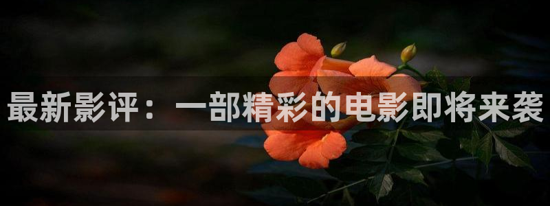 河北的南瓜：最新影评：一部精彩的电影即将来袭