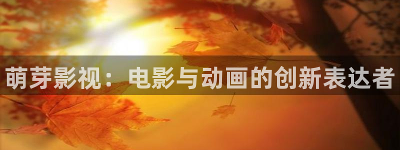南瓜人：萌芽影视：电影与动画的创新表达者