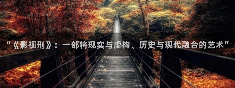 南瓜影视大全最新版本免费下载：“《影视刑》：一部将现实与虚构、历史与现代融合的艺术”